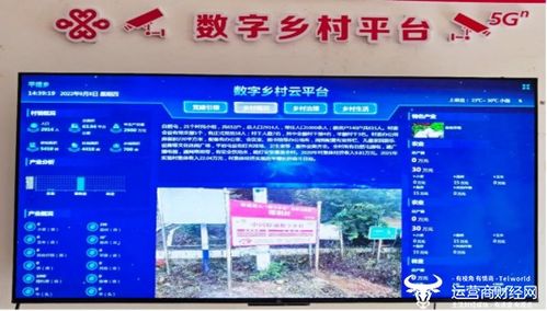数字化赋能基层治理 华盛公司终端应用助力智能农业管理的实践与启示