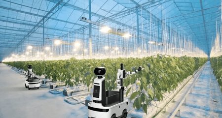 数字孪生赋能智能农业 从精准监测到智慧管理
