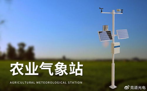 农业大棚气象站在提升农产品质量与产量中的作用——智能农业管理的关键支撑